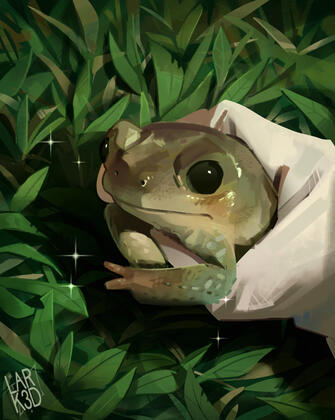 Shy little Frog